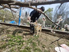 -长白岛森林公园