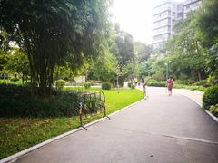 -晓港公园