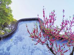 -乌山风景区