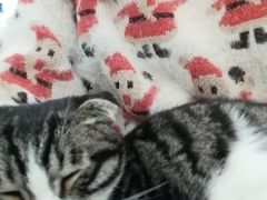 -平行世界·猫咖(首经贸店)
