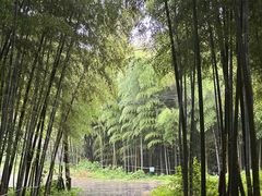 -南北湖风景区