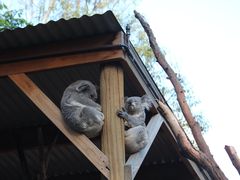 -费瑟代尔野生动物园