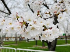 -龙美术馆西岸馆-停车场