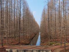 -黄海国家森林公园