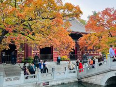 -香山公园
