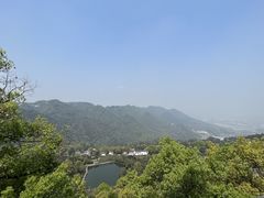 -南山植物园