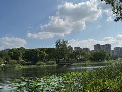 -新江湾城公园