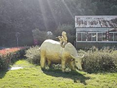 -南京金牛湖风景区