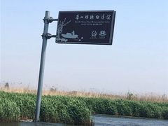 -白洋淀景区