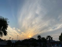 -苏州太湖西山岛开心农场