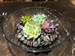 -上海龙之梦万丽酒店