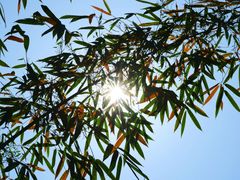 -赤水丹霞旅游区·佛光岩