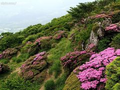 -微山湖红荷湿地景区