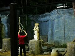 -清迈夜间动物园