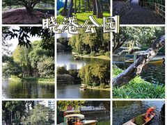 -晓港公园