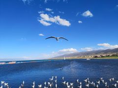 -青海湖国家重点风景名胜区