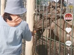 -金宝贝早教(富力广场中心)