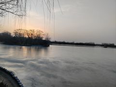 -大兴滨河森林公园