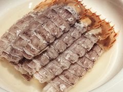 -甄御•海鲜新青岛菜(麦岛店)