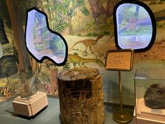 -陕西自然博物馆