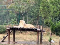 -济南野生动物世界