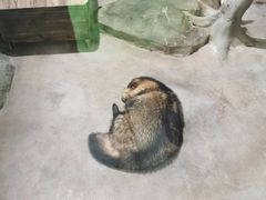 -顺德南宏海立方海洋公园