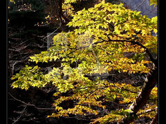 -大明山自然探索公园