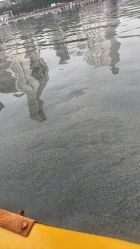 -星海水上乐园(星海广场圣亚店)