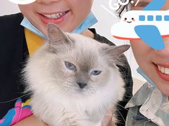 -怪兽屋·羊驼·猫咖·狗咖(俊华广场店)