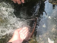 -东天目山风景区