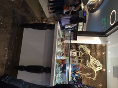 Godiva(港汇恒隆广场店)-GODIVA(港汇恒隆广场)