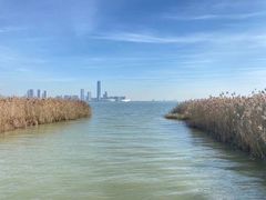 -苏州太湖国家湿地公园