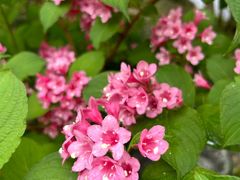 -上海吴淞炮台湾国家湿地公园