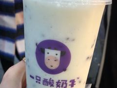 -一只酸奶牛(八一路店)
