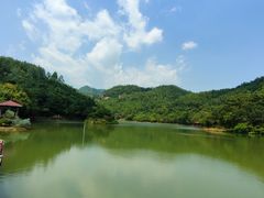 -广州白江湖森林公园