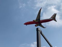 -空港花田景区