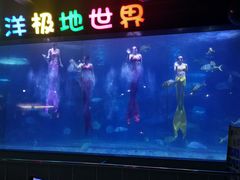 -蓬莱欧乐堡海洋极地世界