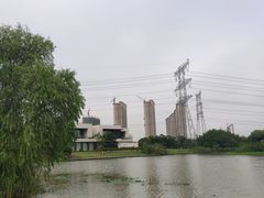 -九里河湿地公园
