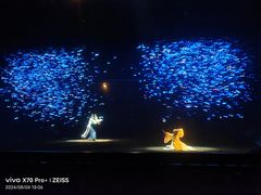 -郑州方特梦幻王国