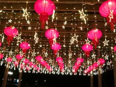 -上海银珠苑度假村-地面停车场