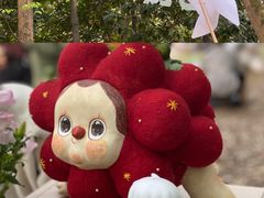 -杭州植物园