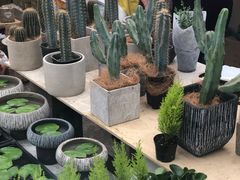 -秦美花卉(天朗·莱茵小城2期店)