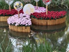 -上海共青森林公园