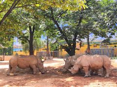 -西安秦岭野生动物园