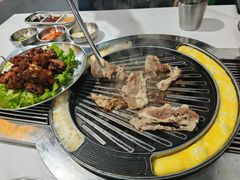 -山野的朋友露营炭火烤肉