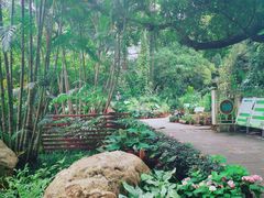 -华南国家植物园-售票处