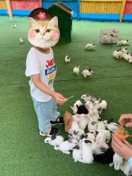 -萌宠亲子动物乐园(槐房万达店)