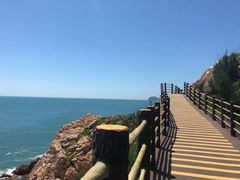 -广东惠东海龟国家级自然保护区