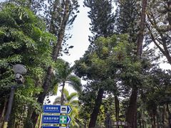-金山植物公园