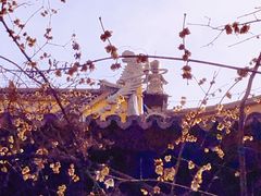 -西园戒幢律寺